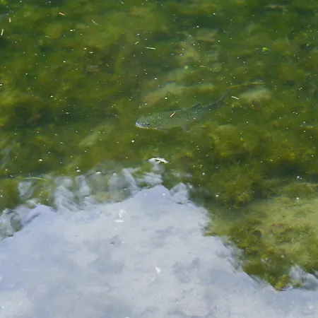 Rozin- Klimatyczne Caloroczne I Jura Krakowsko-czestochowska Krzeszowice