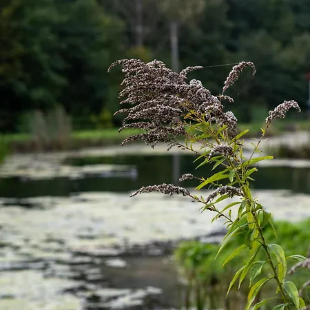 Villa Rozin- Klimatyczne Caloroczne I Jura Krakowsko-czestochowska