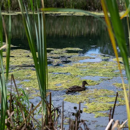 Rozin- Klimatyczne Caloroczne I Jura Krakowsko-czestochowska Krzeszowice