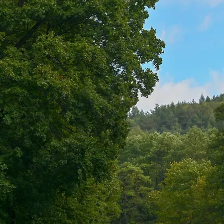 Rozin- Klimatyczne Caloroczne I Jura Krakowsko-czestochowska Krzeszowice