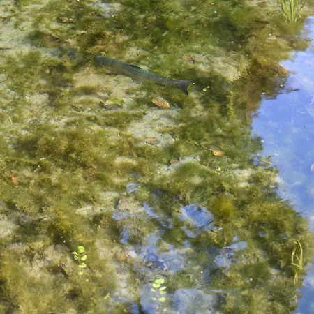 Rozin- Klimatyczne Caloroczne I Jura Krakowsko-czestochowska