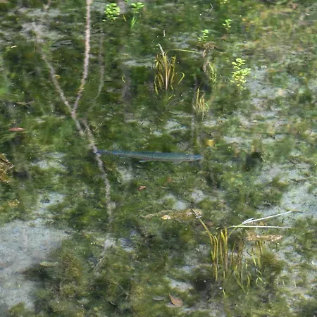 Rozin- Klimatyczne Caloroczne I Jura Krakowsko-czestochowska Krzeszowice