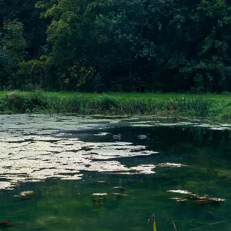 Villa Rozin- Klimatyczne Caloroczne I Jura Krakowsko-czestochowska