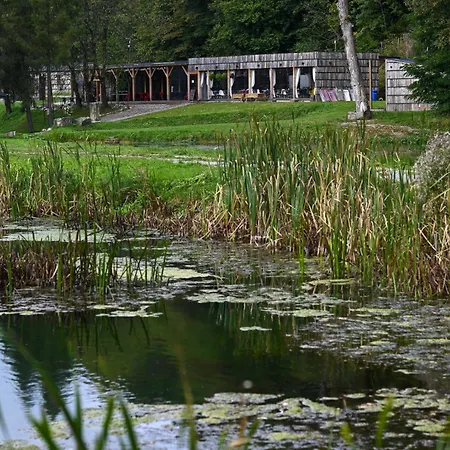 Villa Rozin- Klimatyczne Caloroczne I Jura Krakowsko-czestochowska *