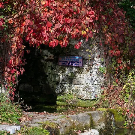 Villa Rozin- Klimatyczne Caloroczne I Jura Krakowsko-czestochowska Krzeszowice