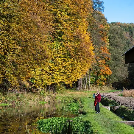 Villa Rozin- Klimatyczne Caloroczne I Jura Krakowsko-czestochowska