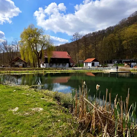 Rozin- Klimatyczne Caloroczne I Jura Krakowsko-czestochowska
